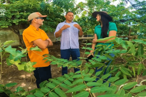 Agro em Madalena investe em viveiros, apicultura e agricultura familiar