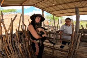 Caprinocultura de leite cresce em Quixadá com derivados artesanais e estratégia de valor agregado.