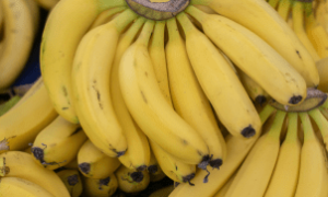 Senar transforma a realidade de pequenos produtores com foco na produção de banana.