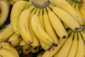 Produtor rural colhendo bananas com apoio do Senar.