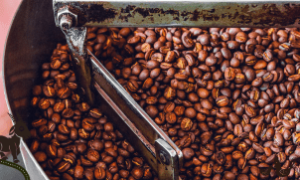 Talhão de café em uma das principais regiões produtoras da Bahia