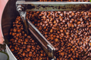 Talhão de café cultivado na Bahia com foco em produção sustentável
