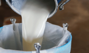 Produtores cearenses protestam contra queda no preço do leite em frente à Alvoar Lácteos