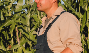 Produtores rurais enfrentam desafios financeiros e recorrem à recuperação judicial em 2025