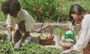 Lideranças femininas no campo mostram a força da mulher no agronegócio