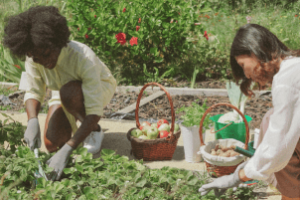 Mulheres liderando atividades agrícolas no Brasil