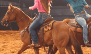 Curso de ransorte reúne profissionais e amadores no Ceará