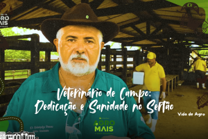 veterinário realiza exame reprodutivo em bovinos durante rotina no campo