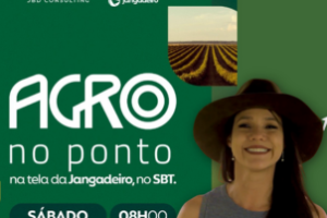 Ilustração com o impacto do aumento dos preços dos ovos no mercado.