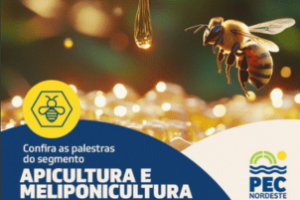 PEC Nordeste 2025: Especial Apicultura & Meliponicultura