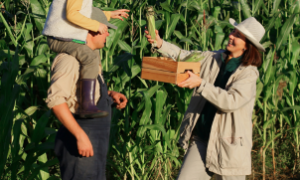Agricultores, técnicos e especialistas discutem práticas sustentáveis na agricultura familiar.