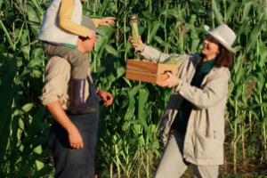 Pequenos produtores reunidos para debater inovação na agricultura familiar.