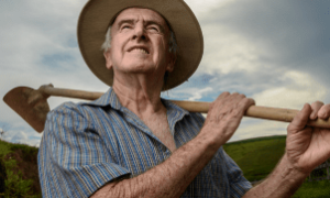 O seguro rural garante estabilidade financeira ao produtor em tempos de crise climática