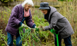 Trabalhadores imigrantes colhendo vegetais em fazenda californiana.

