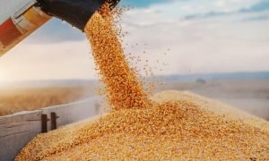 Navio no porto brasileiro carregado de soja para exportação à China