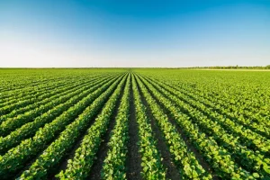 Discute como juros, inflação e geopolítica influenciam o agronegócio.
