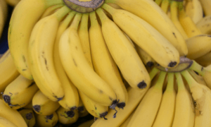 Hub de bananas do Sítio Barreiras fortalece produção no interior cearense