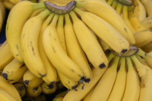 Estrutura moderna do Sítio Barreiras para beneficiamento de frutas
