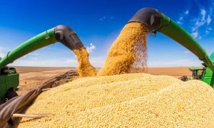 Safra 2025/2026 pode alcançar 353,8 milhões de toneladas, segundo Conab