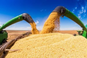 Colheita de soja simbolizando safra 2025/2026 recorde no Brasil