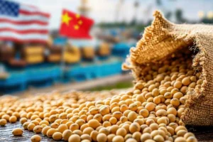 Reuniões entre EUA e China em Paris, em março de 2025, colocam o agronegócio brasileiro em alerta estratégico