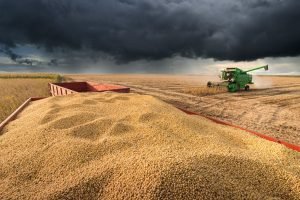 Atraso da soja encurta janela da safrinha e aumenta risco produtivo.