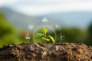 Eco Invest amplia a oferta de capital para projetos do agronegócio alinhados à transição climática.