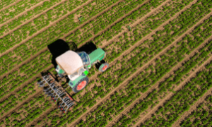 Amílcar Silveira, presidente da Faec, alerta para impactos da tarifa dos EUA