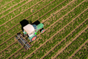 Agro cearense pode perder competitividade com nova tarifa dos EUA