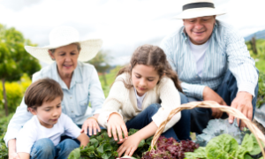 A parceria entre PSJ e Nutec moderniza a agricultura familiar no Ceará com tecnologia e pesquisa.