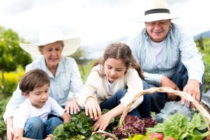 Agricultores cearenses aplicando inovação e tecnologia para modernizar a produção rural.