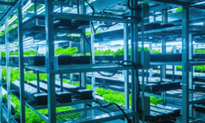 Agricultura brasileira se transforma com automação e inovação digital