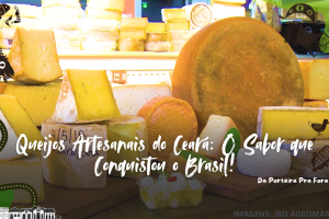 Queijos artesanais do Ceará premiados com o Selo Arte.