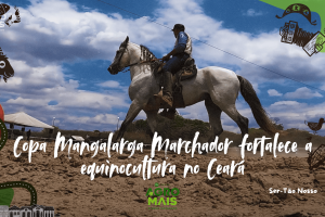 A Copa Mangalarga Marchador reuniu 83 animais e bateu recorde histórico de participação no Ceará.