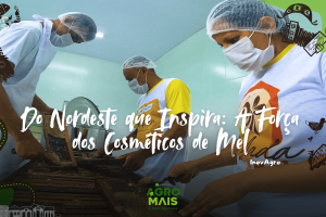 Linha de cosméticos feita com mel e derivados, fortalecendo a apicultura no Ceará.