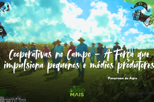 Cooperativas oferecem serviços, assistência técnica e compras compartilhadas para fortalecer pequenos produtores.