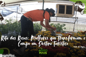 Mulheres transformam propriedades rurais em roteiros turísticos com experiências sensoriais e culturais.