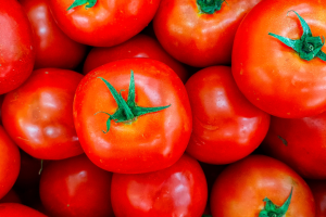 Safra de tomate retrocede e deve voltar ao patamar de 2022