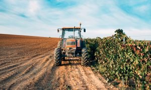 Tractor in a vineyard