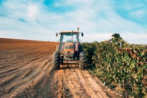 Tractor in a vineyard