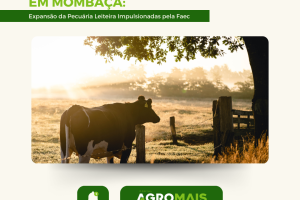 Transformação em Mombaça: Expansão da Pecuária Leiteira e Carcinicultura Impulsionadas pela Faec