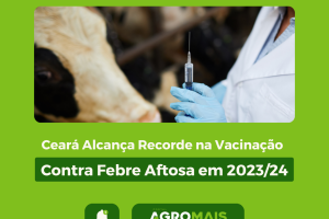 Ceará Alcança Recorde na Vacinação Contra Febre Aftosa em 2023/24