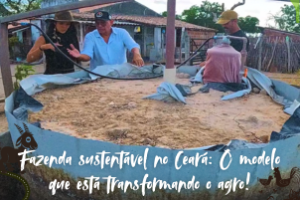 Sistema sustentável na pecuária leiteira da Fazenda Nogueira Lima.