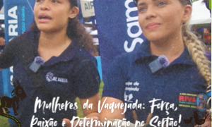 Mulheres conquistam espaço na vaquejada, desafiando barreiras e preconceitos.