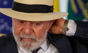 Plantação de soja representando os impactos da reforma tributária no agronegócio brasileiro