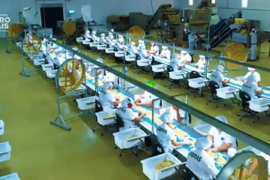 Parcerias entre governo, entidades do setor e produtores impulsionam o desenvolvimento do agronegócio no Ceará.