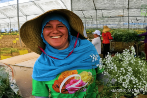Agenda de 2026 amplia ações de valorização, capacitação e integração das mulheres do agro cearense.