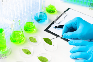 Produto funcional à base vegetal desenvolvido para atender restrições alimentares.