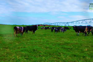 Iniciativas fortalecem resiliência climática e produção rural em 2026.