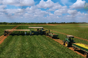 A Secretaria de Desenvolvimento Agrícola do Ceará coordena iniciativas que beneficiam centenas de comunidades rurais.